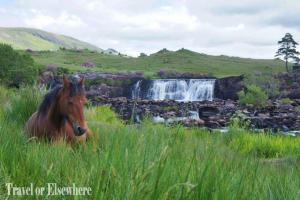 13. Horse & Waterfall